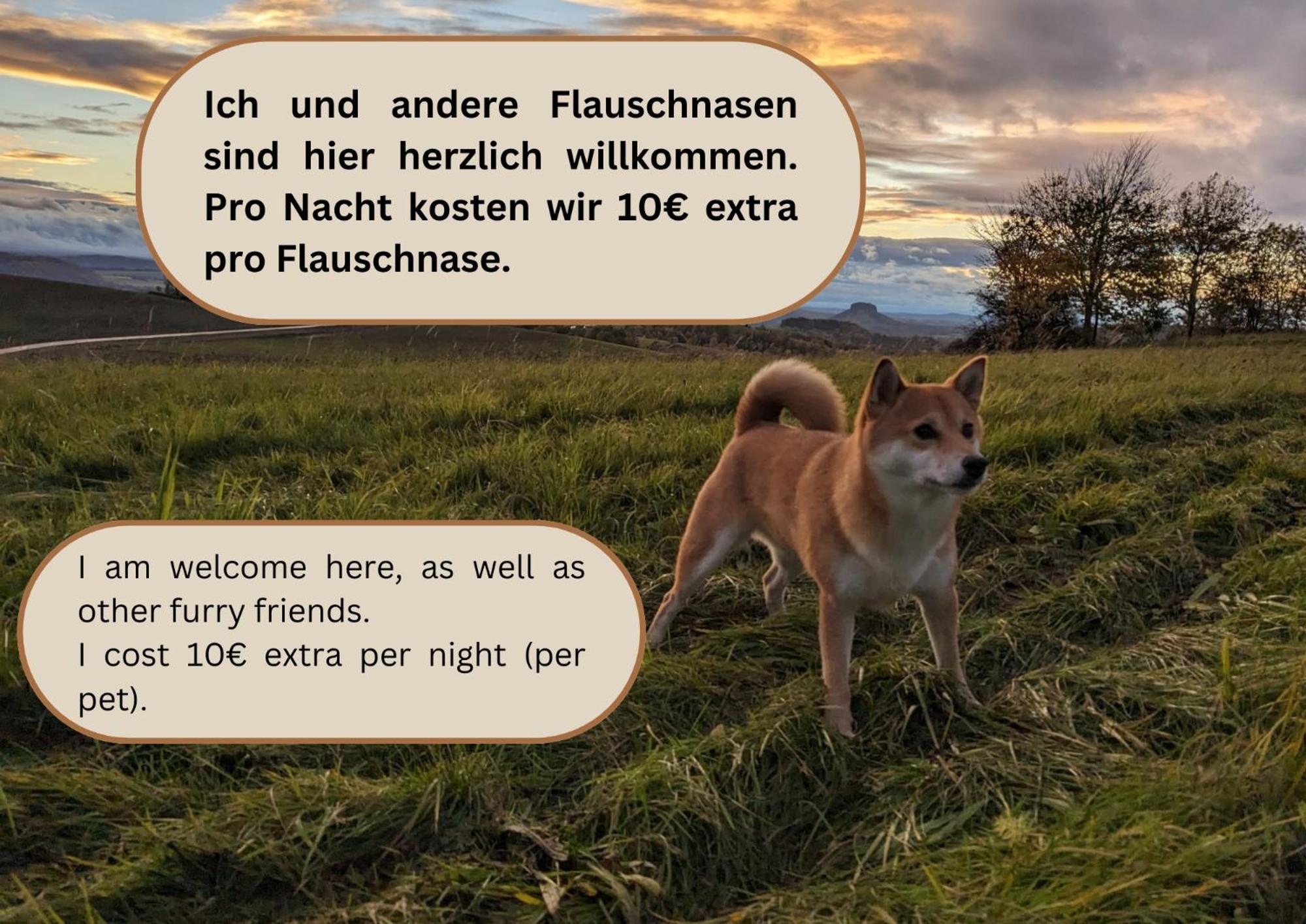 S1 - Urlaubsmagie - Direkt Loswandern, Bis Zu 4P Sebnitz Eksteriør bilde